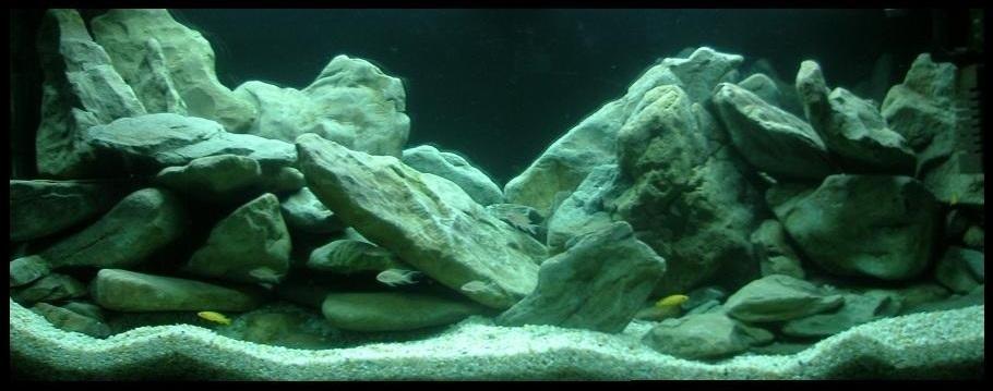 Projekt akwarium ze skałami